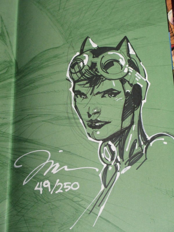 Catwoman - Jim Lee Absolute Hush, In Anush Collins's Jim Lee Comic Art ...